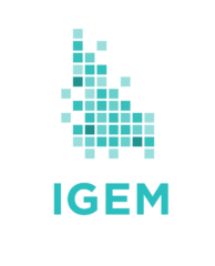 IDOC_IGEM_logo-color