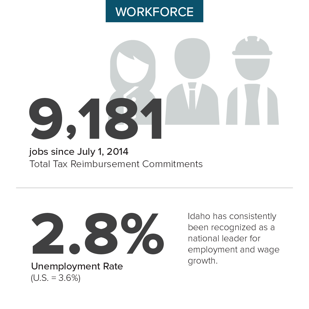 Workforce Infographic