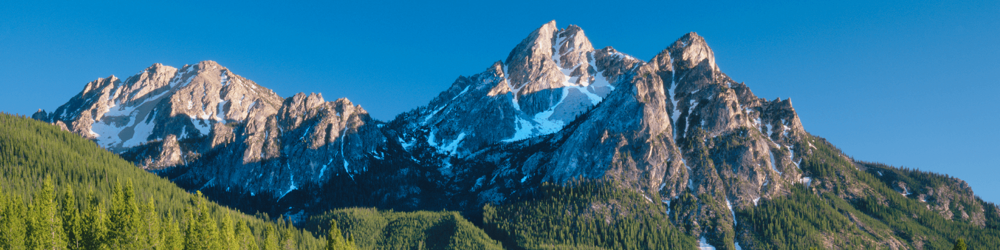 Majestic snow-capped mountain peaks rise above a lush green forest under a clear blue sky