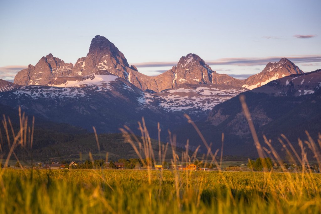 Golden fields stretch towards snow-capped mountain peaks at sunset
