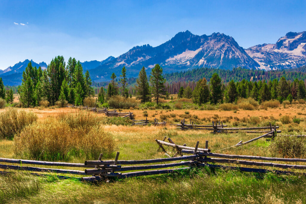 Wooden fencing arranged in a field of tall grass, and in the background, a forest of trees and the Sawtooth Mountains.