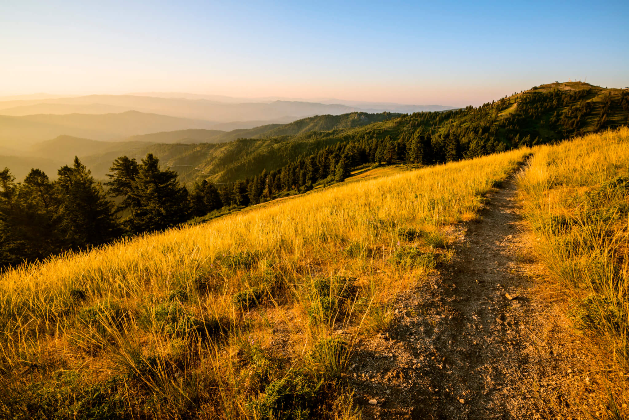 A winding dirt path cuts through a golden field of tall grass, leading towards a distant mountain range shrouded in mist