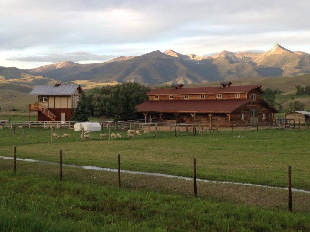 A rustic barn and small house sit in a grassy field with sheep grazing, backed by rolling hills and distant mountains