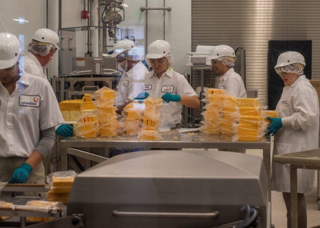 Workers in protective gear process and package cheese in a factory setting