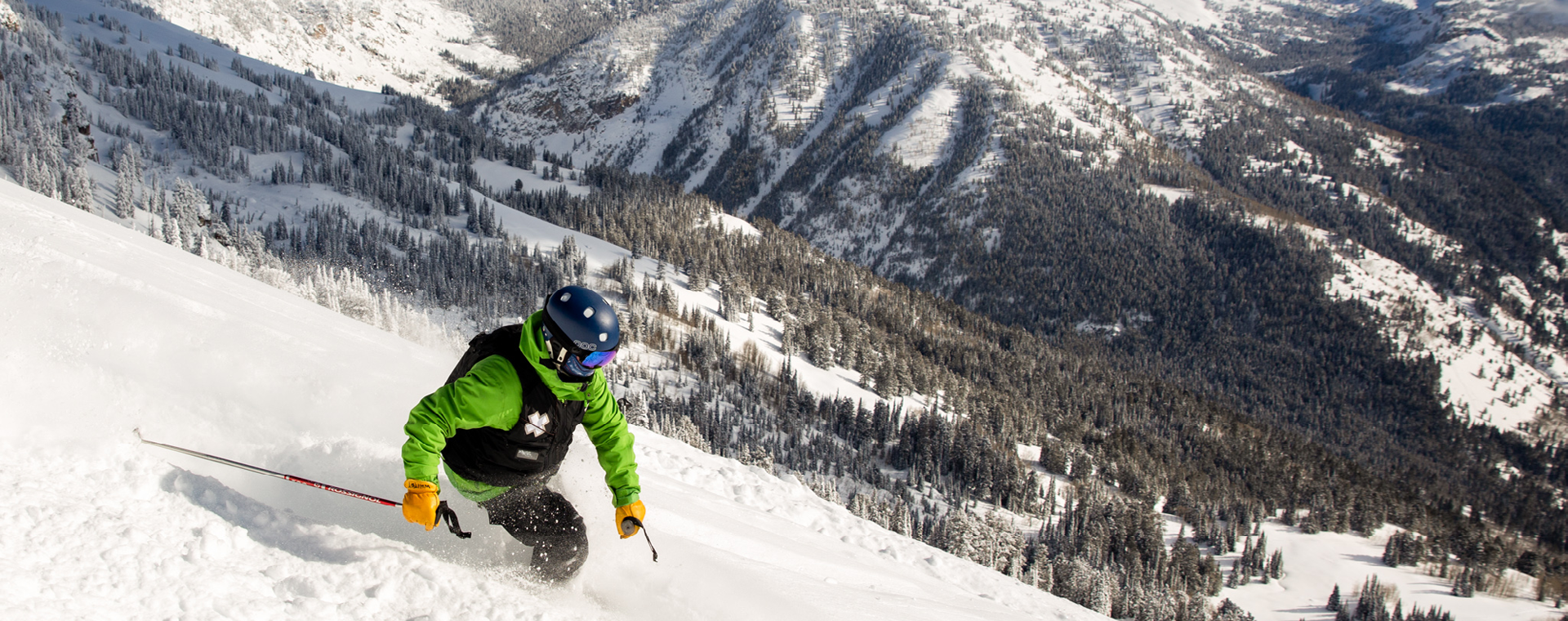 Skiing hero image