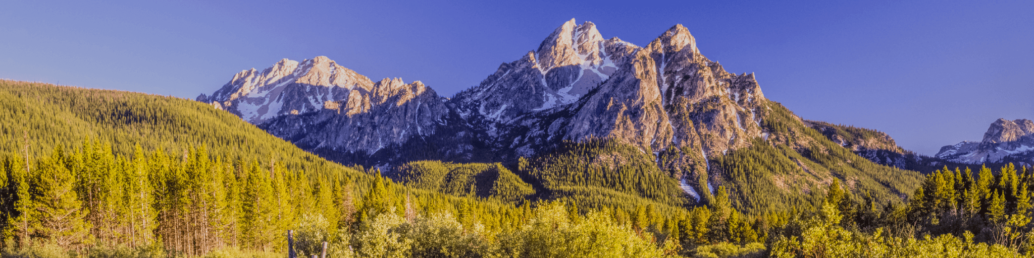 Majestic snow-capped mountains rise above a vibrant autumn forest under a clear blue sky