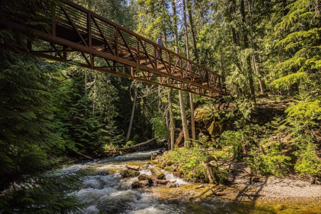 A pedestrian bridge spans a rushing river in a lush, green forest, with sunlight filtering through the dense canopy above