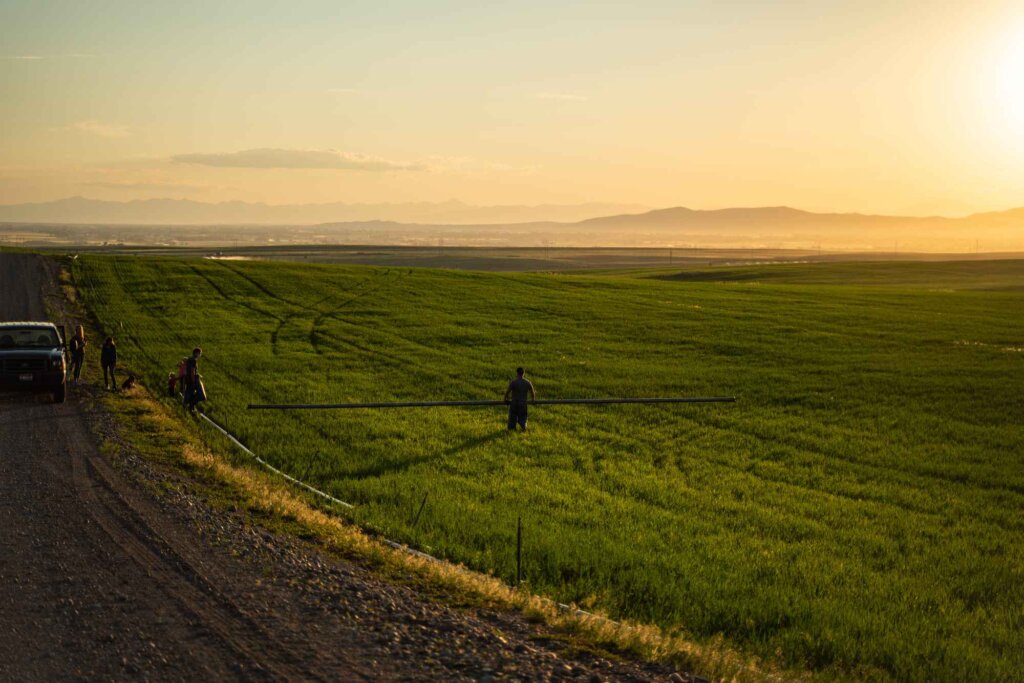 A lone figure stands in a vast, lush green field as the sun sets in the distance, casting a warm glow over the landscape